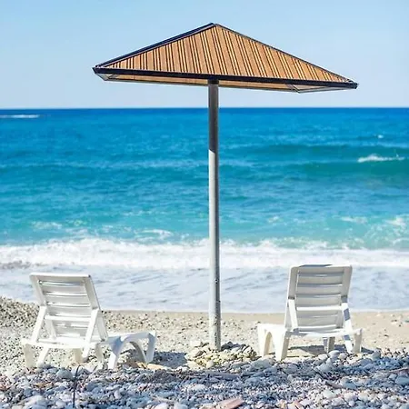 Joya Cyprus Spring Garden *