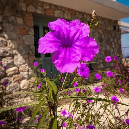 Joya Cyprus Spring Garden * Agios Amvrosios (Kyrenia)