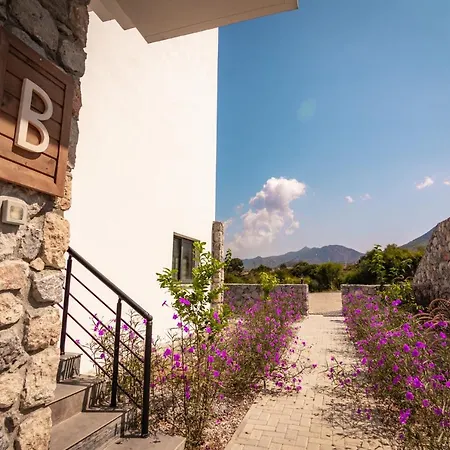 Joya Cyprus Spring Garden